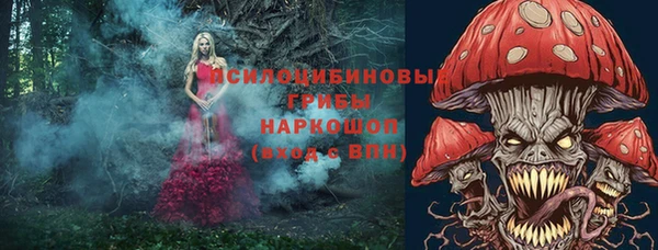 амф Алексин